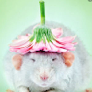 Meet your Posher, Lucia